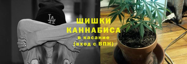 стаф Михайлов