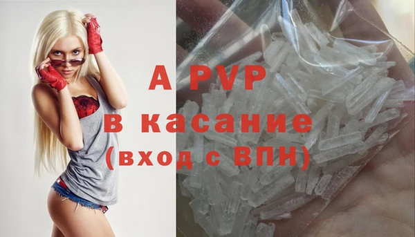 индика Вяземский