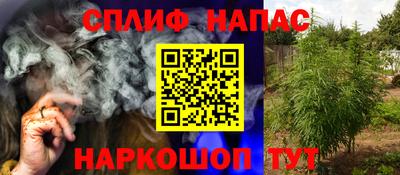 мдпв Гусь-Хрустальный