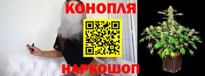 МДПВ Гагарин