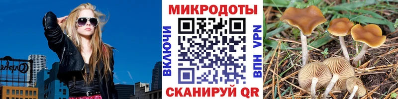 Псилоцибиновые грибы Psilocybe  Ипатово 