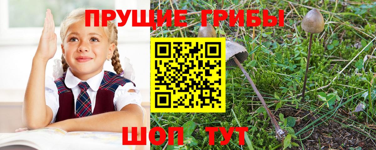 Ипатово  Псилоцибиновые грибы прущие грибы  купить наркотик  Вход с VPN 