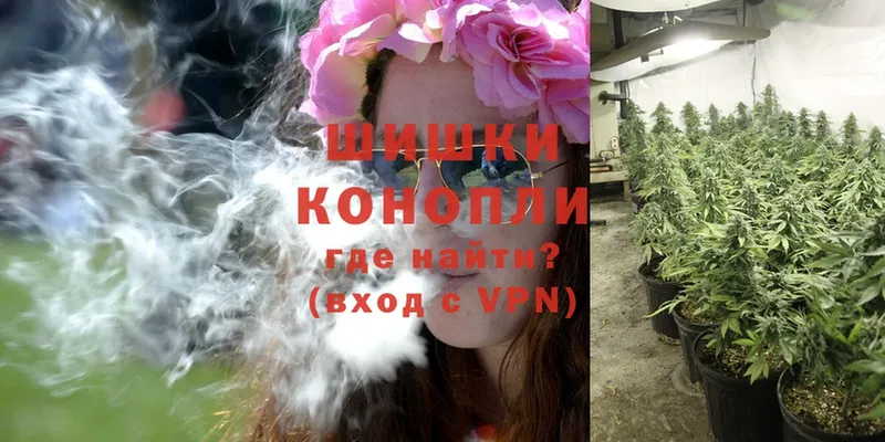 где купить наркоту  Ипатово  Канабис OG Kush 