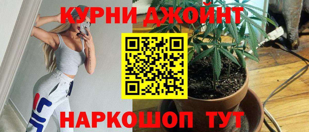 Шишки марихуана конопля  Канабис Amnesia  Вход с VPN  Каннабис индика  МАРИХУАНА семена  Ипатово 